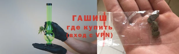 стаф Арсеньев
