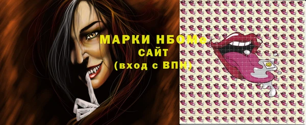 индика Баксан