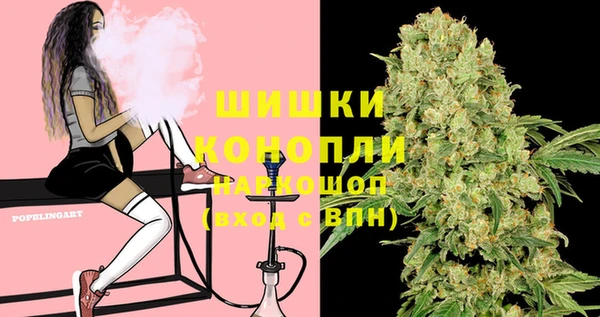 индика Баксан
