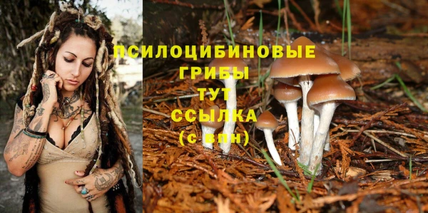 a pvp Армянск