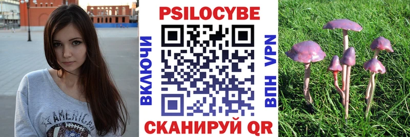 Псилоцибиновые грибы мицелий  Нефтекумск 