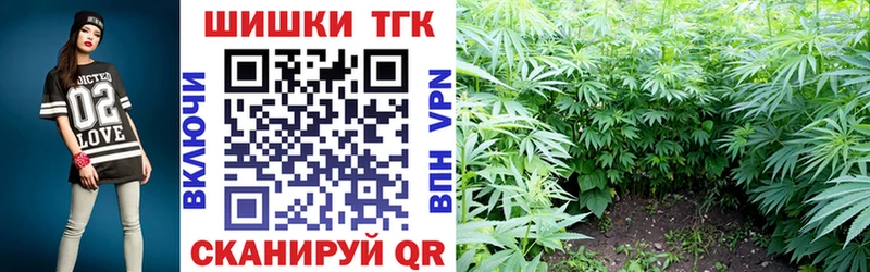 наркотики  Нефтекумск  Каннабис конопля 